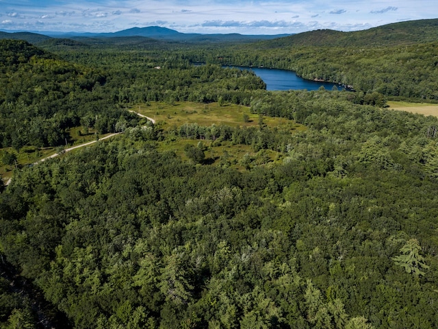 00 Brownfield Rd, Hiram, ME 04041