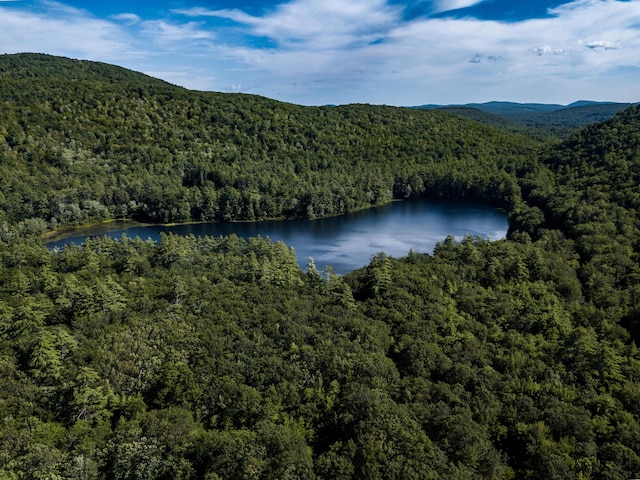 00 Brownfield Rd, Hiram, ME 04041