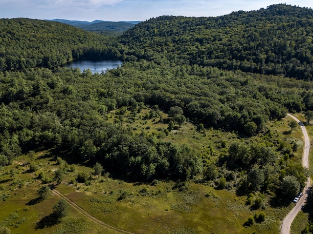 00 Brownfield Rd, Hiram, ME 04041