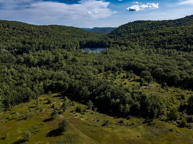 00 Brownfield Rd, Hiram, ME 04041