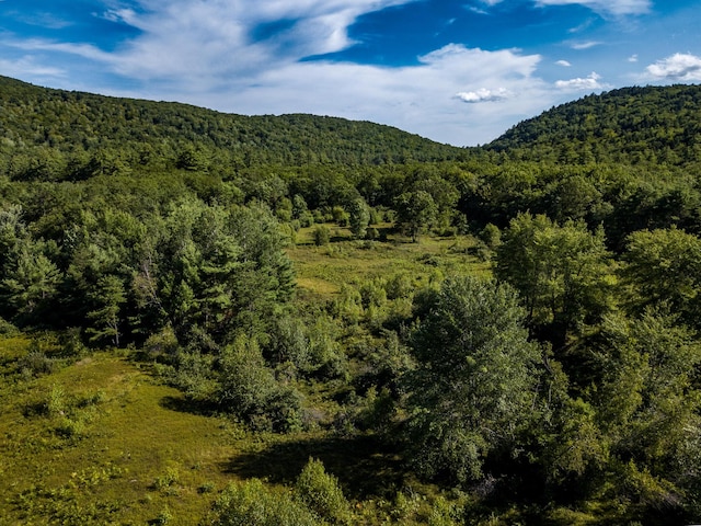 00 Brownfield Rd, Hiram, ME 04041