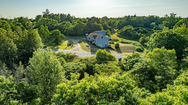 278 Saco Rd, Columbia, ME 04623 - photo 86