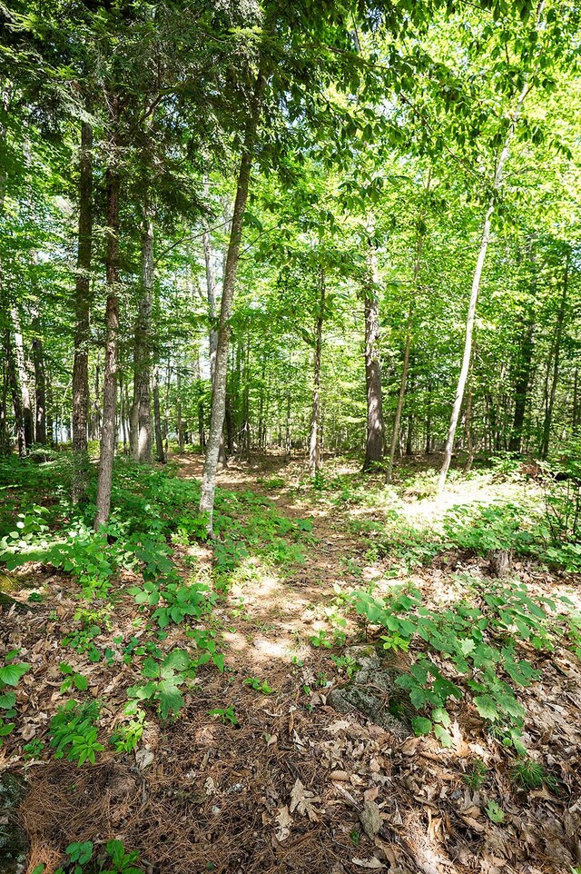 37 Cobb Rd, Raymond, ME 04071 - photo 56