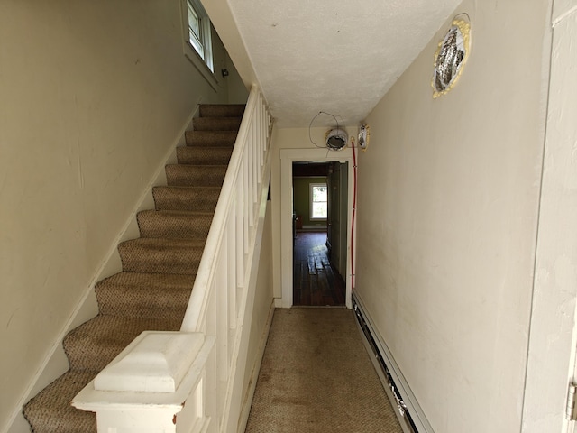 1052 Douty Hill Rd, Sangerville, ME 04479 - stairs featuring carpet flooring and baseboards