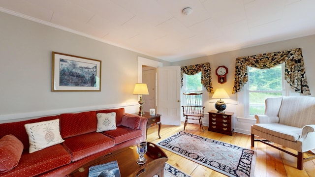 486 Webbs Mills Rd, Raymond, ME 04071 - living area featuring hardwood / wood-style flooring and ornamental molding