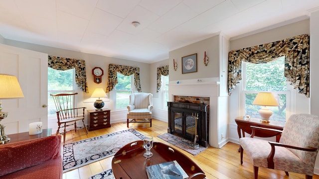 486 Webbs Mills Rd, Raymond, ME 04071 - living area with light wood finished floors and a glass covered fireplace