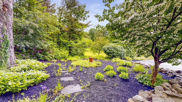 486 Webbs Mills Rd, Raymond, ME 04071 - view of yard
