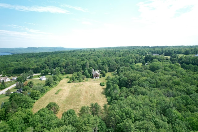 486 Webbs Mills Rd, Raymond, ME 04071 - aerial view of a heavily wooded area