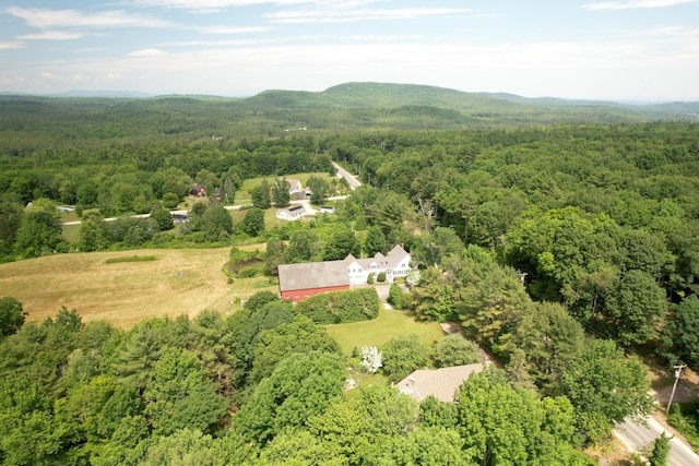 486 Webbs Mills Rd, Raymond, ME 04071 - aerial view of a forest