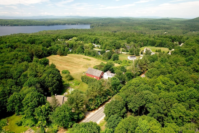 486 Webbs Mills Rd, Raymond, ME 04071 - bird's eye view of a heavily wooded area and a nearby body of water