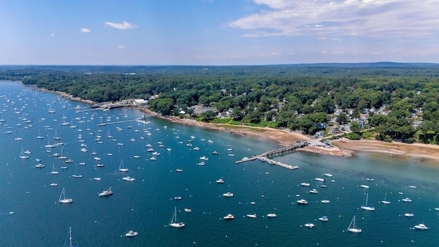 15 Goldenrod Ln, Falmouth, ME 04105 - photo 42