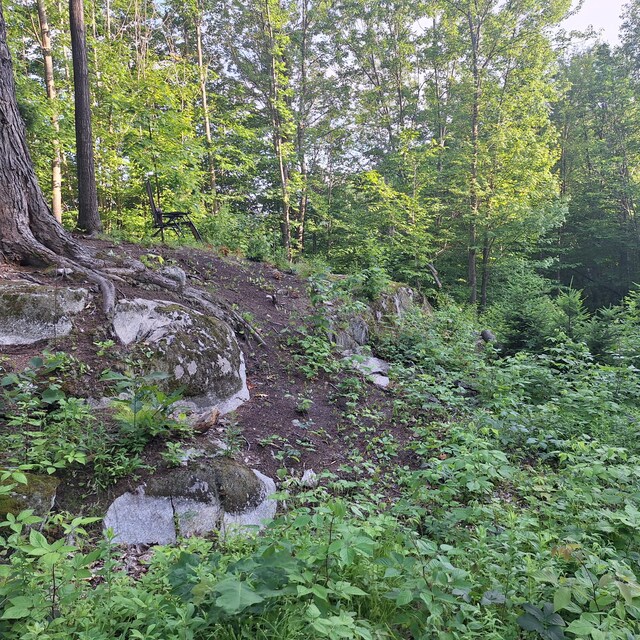 71 Mountain View Dr, Hartford, ME 04220 - view of wooded area
