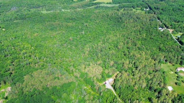 27 Hodgdon Rd, Levant, ME 04456 - view of property location with a forest
