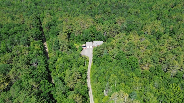 27 Hodgdon Rd, Levant, ME 04456 - view of property location featuring a heavily wooded area