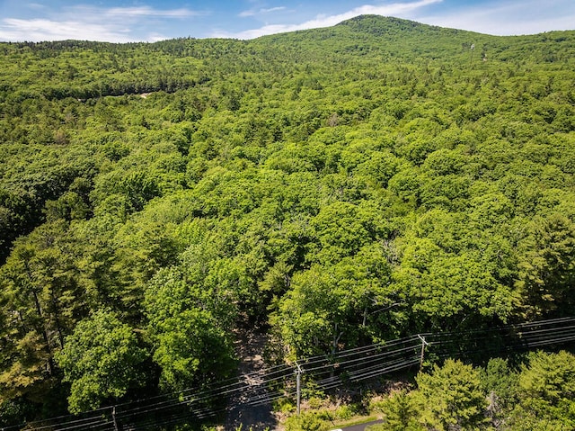 2030 Atlantic Hwy, Lincolnville, ME 04849 - photo 2