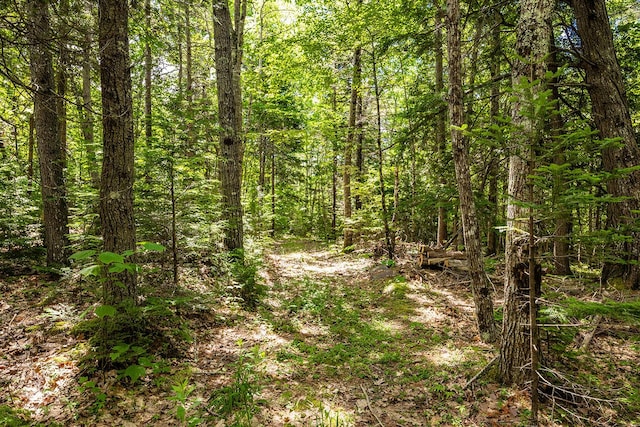 2030 Atlantic Hwy, Lincolnville, ME 04849 - photo 35