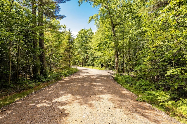 2030 Atlantic Hwy, Lincolnville, ME 04849 - photo 36