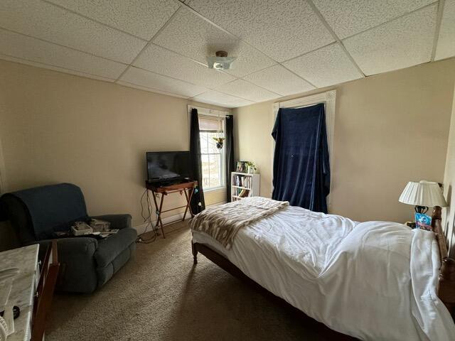 46 Cedar St, Dover-Foxcroft, ME 04426 - carpeted bedroom with a paneled ceiling
