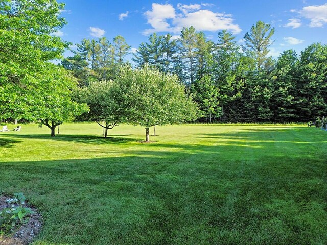 34 Cari Way, Sidney, ME 04330 - view of green lawn