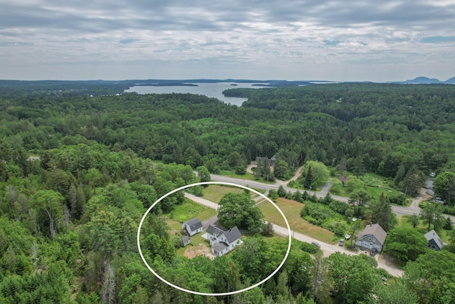 10 Jones Way, Sullivan, ME 04664 - bird's eye view of a heavily wooded area and a large body of water
