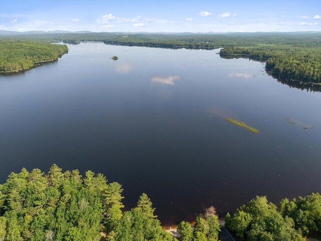 263 Webb Pond Rd, Eastbrook, ME 04634 - photo 41