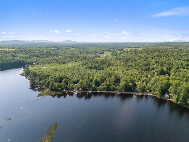 263 Webb Pond Rd, Eastbrook, ME 04634 - photo 42