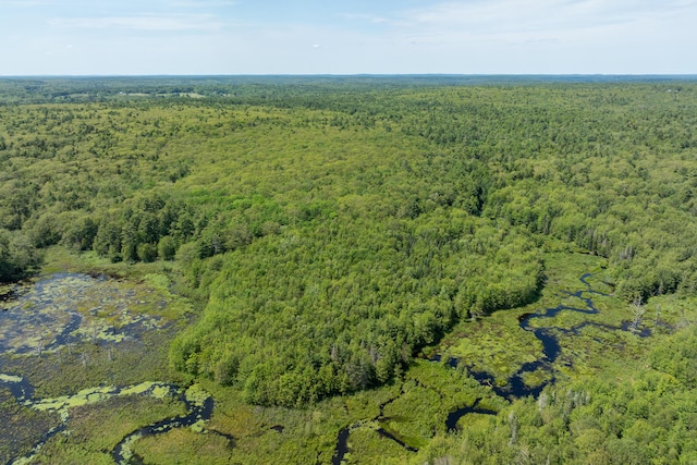 LOT60 Carl Bailey, Bristol, ME 04539