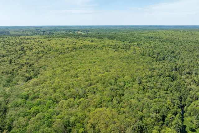 LOT60 Carl Bailey, Bristol, ME 04539