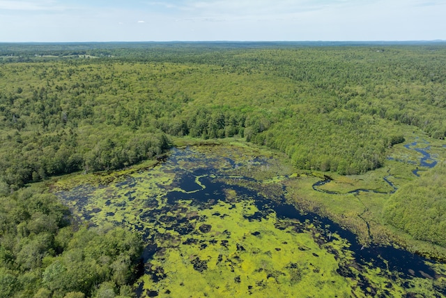 LOT60 Carl Bailey, Bristol, ME 04539