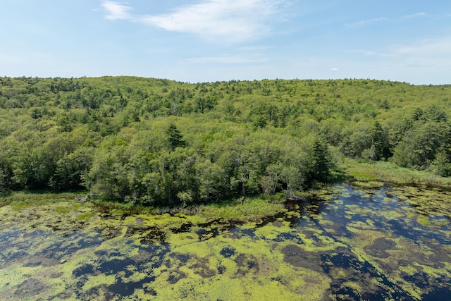 LOT60 Carl Bailey, Bristol, ME 04539