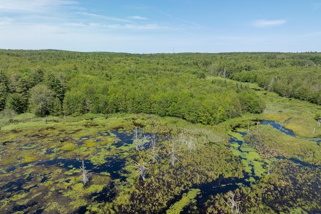 LOT60 Carl Bailey, Bristol, ME 04539