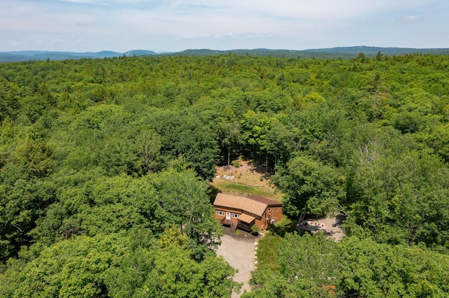 532 Cape Monday Rd, Harrison, ME 04040 - photo 52