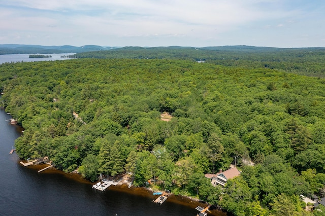 532 Cape Monday Rd, Harrison, ME 04040 - photo 47