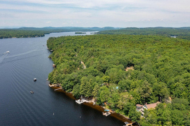 532 Cape Monday Rd, Harrison, ME 04040 - photo 49