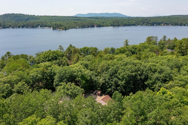 532 Cape Monday Rd, Harrison, ME 04040 - photo 50