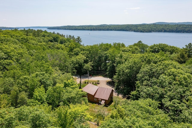 532 Cape Monday Rd, Harrison, ME 04040 - photo 51