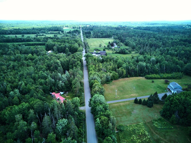 199 Middle Rd, Bradford, ME 04410 - view of rural area featuring a forest