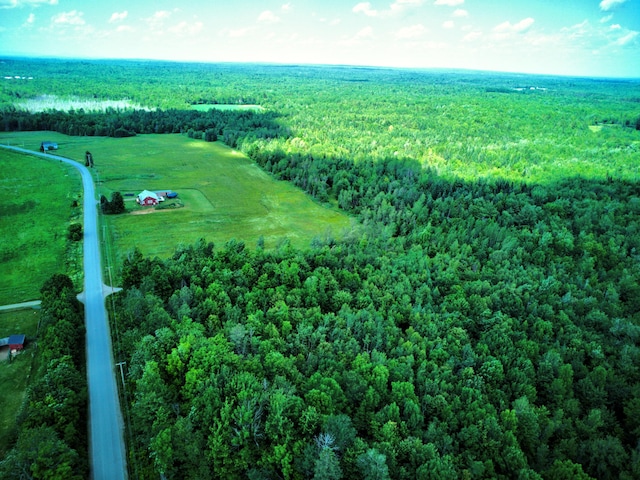 199 Middle Rd, Bradford, ME 04410 - view of rural area with a heavily wooded area