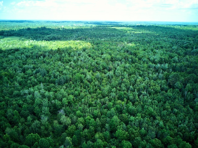 199 Middle Rd, Bradford, ME 04410 - drone / aerial view of a forest