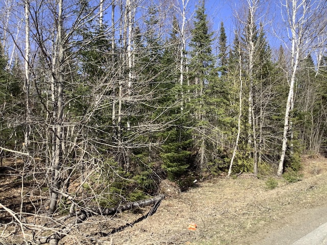 0 Grendell Rd, Chapman, ME 04757 - photo 4
