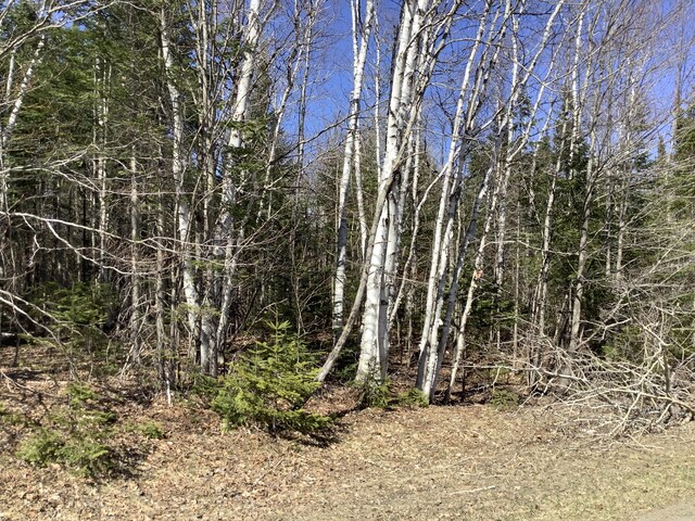 0 Grendell Rd, Chapman, ME 04757 - photo 5