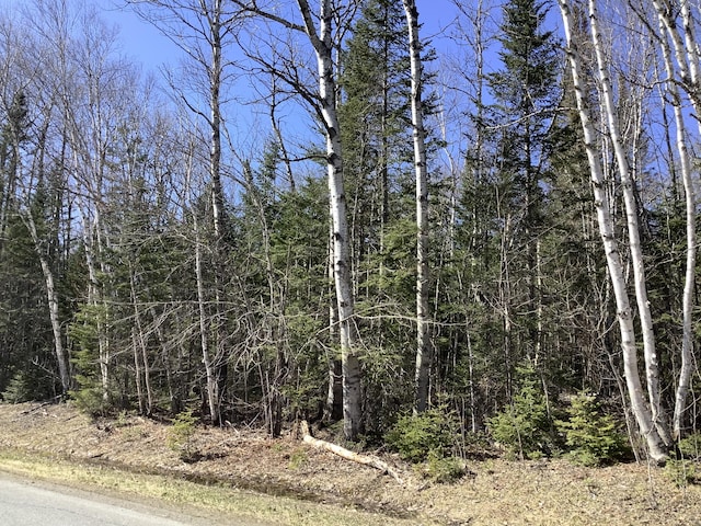0 Grendell Rd, Chapman, ME 04757 - photo 6