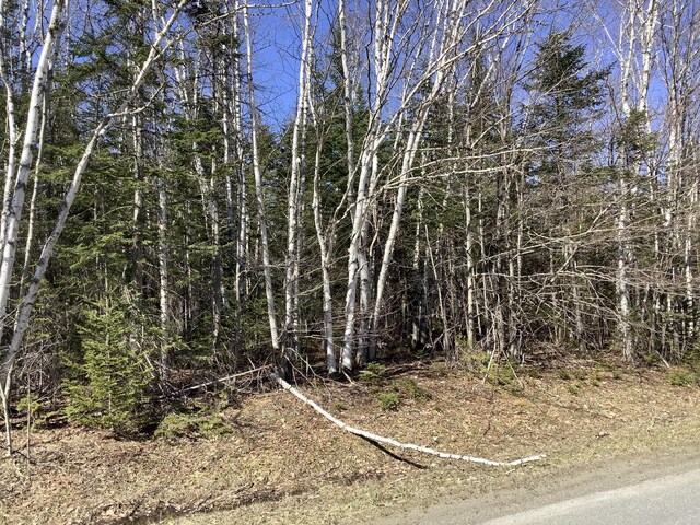 0 Grendell Rd, Chapman, ME 04757 - photo 9