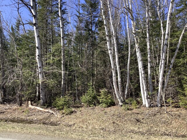 0 Grendell Rd, Chapman, ME 04757 - photo 10