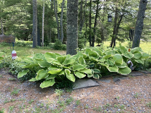 969 Surry Rd, Surry, ME 04684 - photo 34