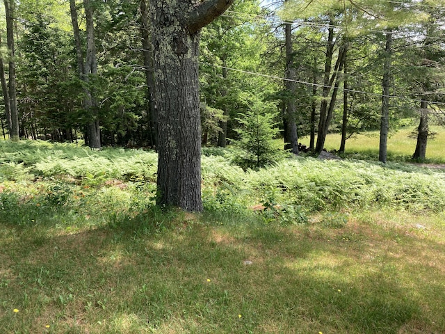 969 Surry Rd, Surry, ME 04684 - photo 36