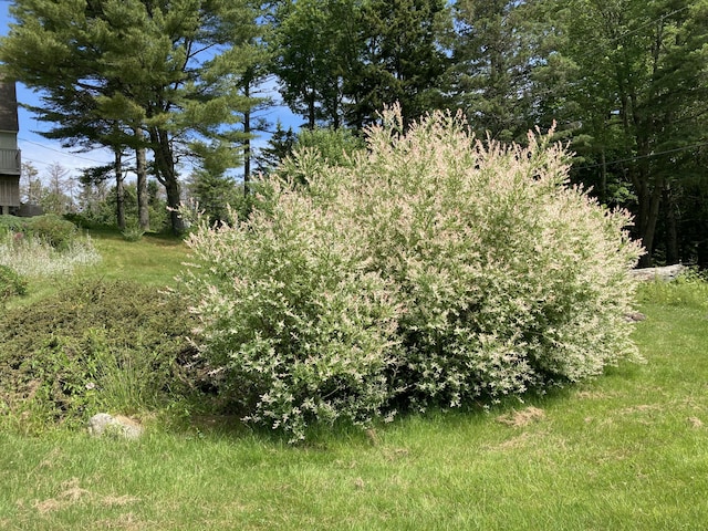 969 Surry Rd, Surry, ME 04684 - photo 40