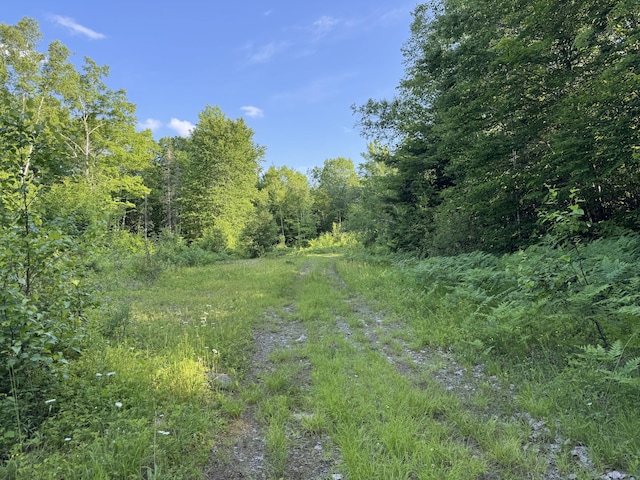 137 Vanishing Ln, Athens, ME 04912 - photo 4
