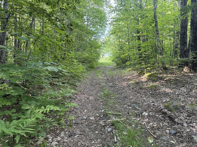 137 Vanishing Ln, Athens, ME 04912 - photo 6