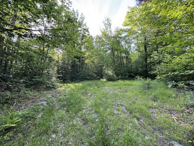 137 Vanishing Ln, Athens, ME 04912 - photo 7
